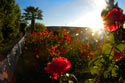 The garden at Jakhalsdans Karoo Farm